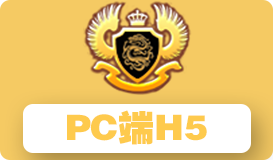 PC端H5